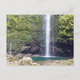 Madeira - Levada Do Caldeirao Verde-vykort Vykort