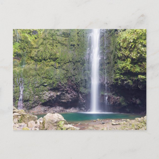 Madeira - Levada Do Caldeirao Verde-vykort Vykort (Framsida)