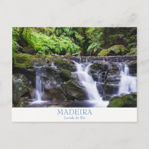 Madeira - Levada do Rei vykort med text