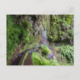 Madeira - Levada do Rei-vykort Vykort