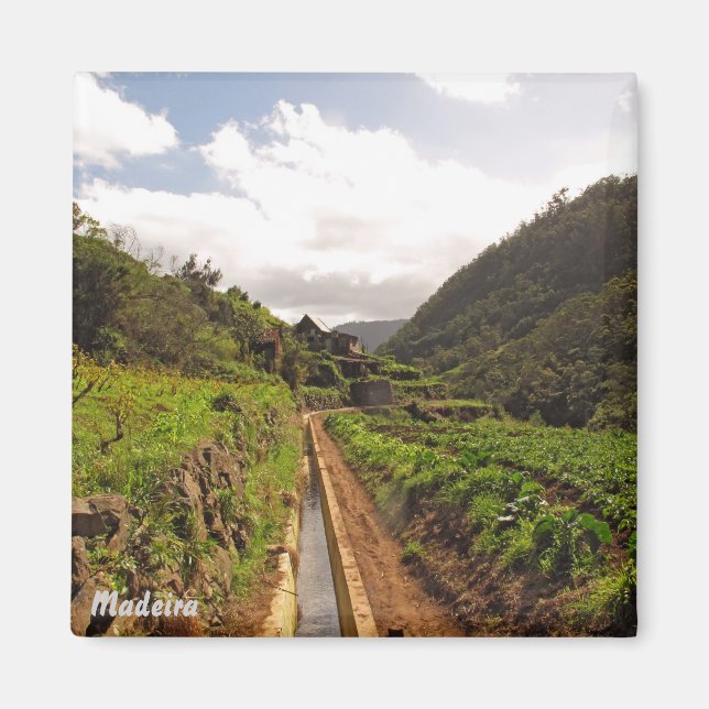 Madeira magnet- Levada do Caniçal Magnet (Framsidan)