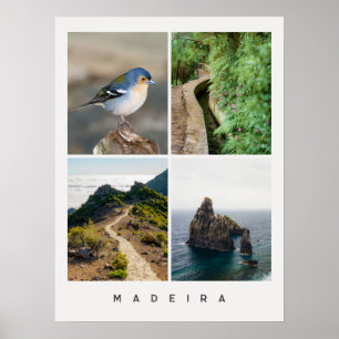 Madeira natur och landskap Resebild Collage Poster