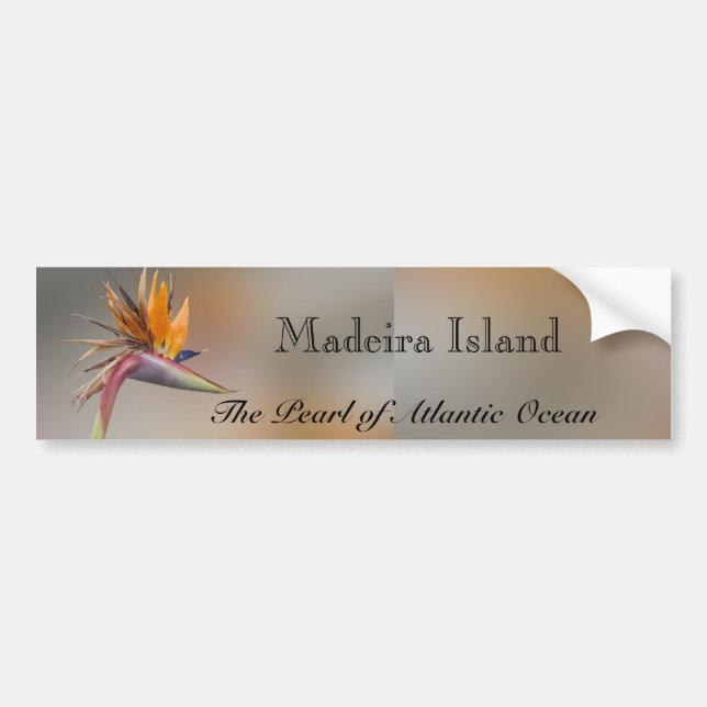 Madeira ö bildekal (Framsidan)