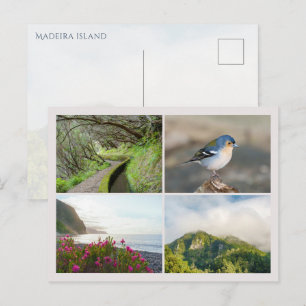 Madeira-ö fotokollage, modern resa vykort