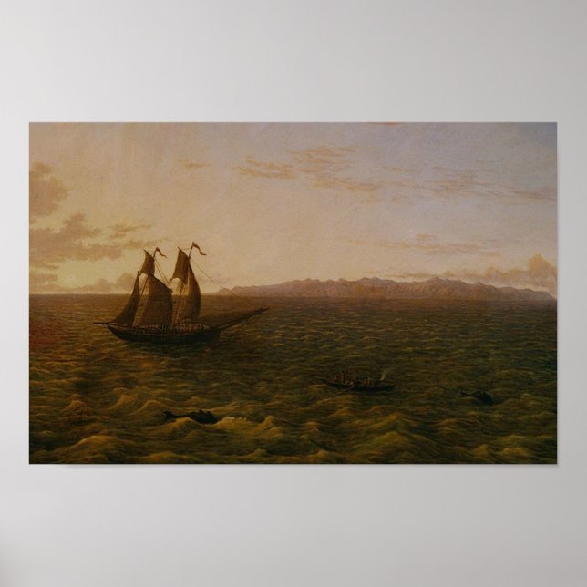 Madeira Poster (Framsidan)