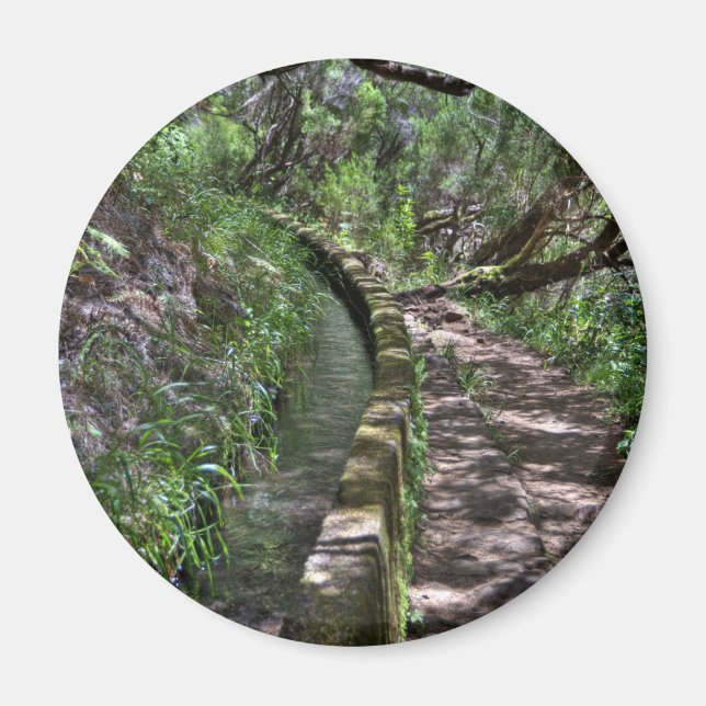 Madeira Road Way Magnet (Framsidan)