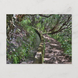 Madeira Road Way Vykort
