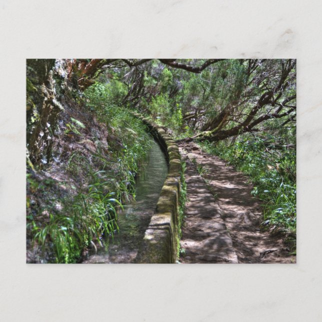 Madeira Road Way Vykort (Framsida)