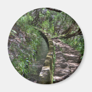 Madeira väg långt magnet