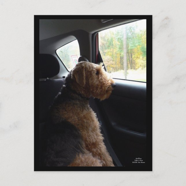 Madeleine tar ett vykort (Framsida)