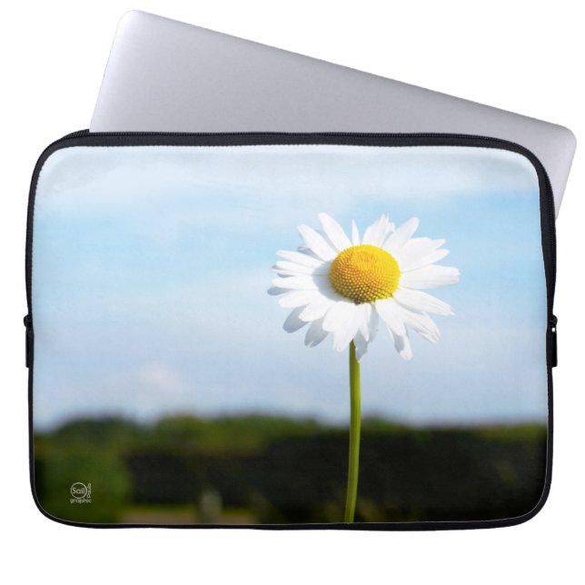 Madelief rechtop geisoleerd in de natuur. laptop fodral (Framsidan)