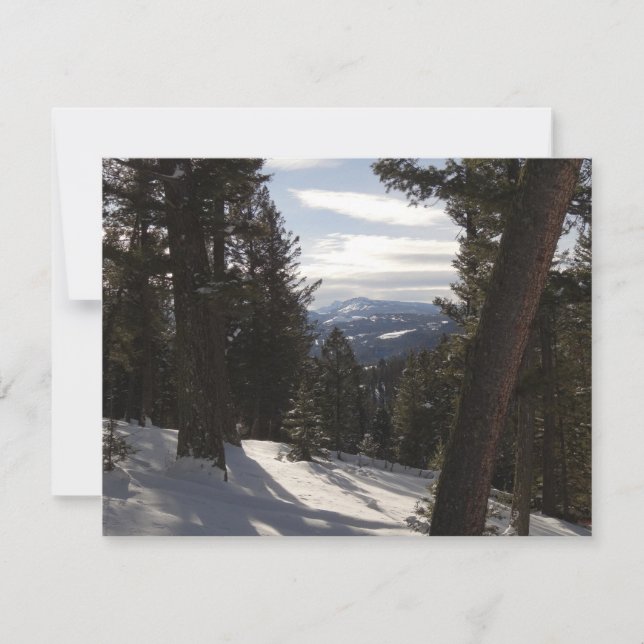 Madisbergen i Winter i Montana (Framsida)