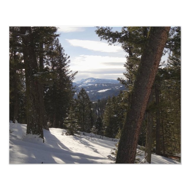 Madisbergen i Winter i Montana Fototryck (Framsidan)