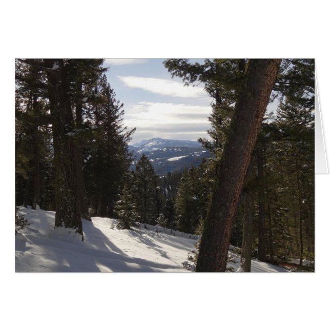 Madisbergen i Winter i Montana Hälsningskort (Framsidan Horizontal)