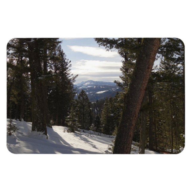 Madisbergen i Winter i Montana Magnet (Horisontell)