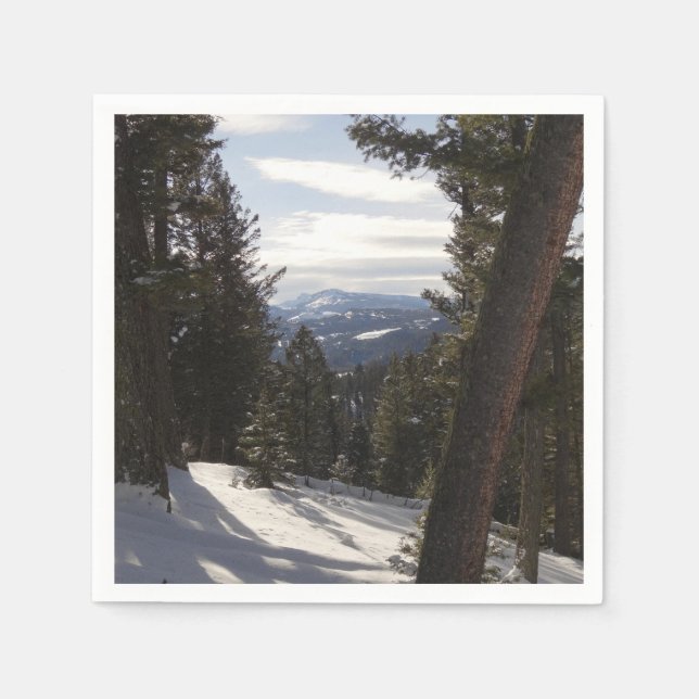 Madisbergen i Winter i Montana Pappersservett (Framsidan)