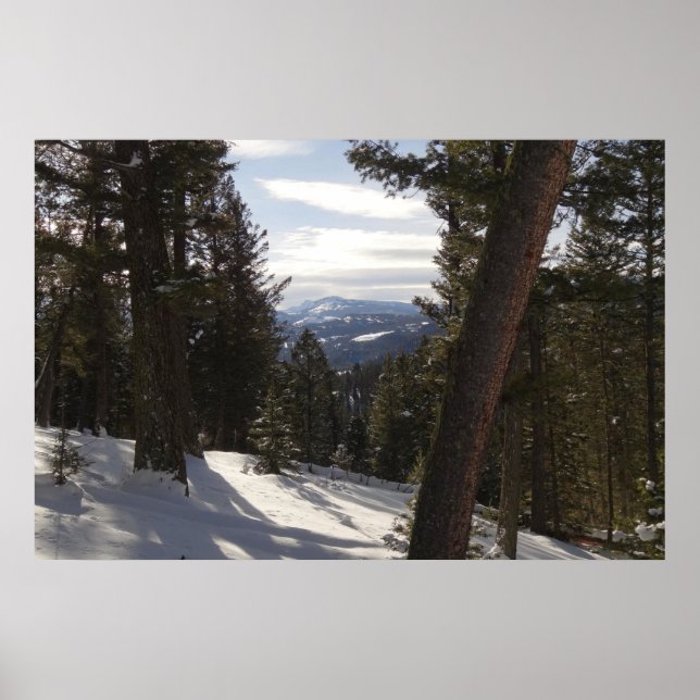 Madisbergen i Winter i Montana Poster (Framsidan)