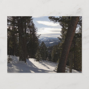 Madisbergen i Winter i Montana Vykort