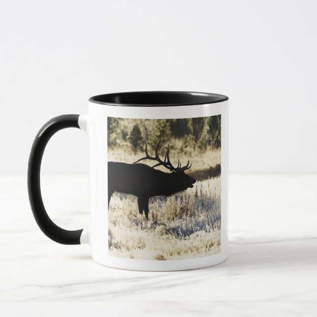 Madison flod, Yellowstone NP, Wyoming, USA Mugg (Vänster)