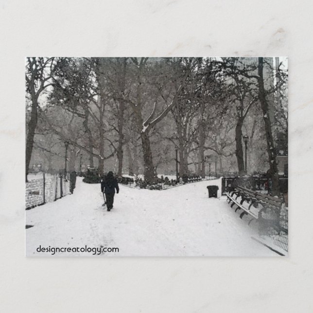 Madison Square Garden Vykort (Framsida)