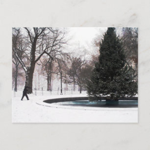 Madison Square Park Winter 2005 Vykort