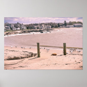 Madison strand som bor Connecticut Poster