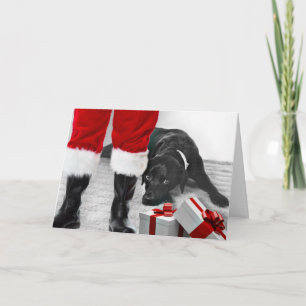 Madison the Black Labrador-julkortet Helgkort