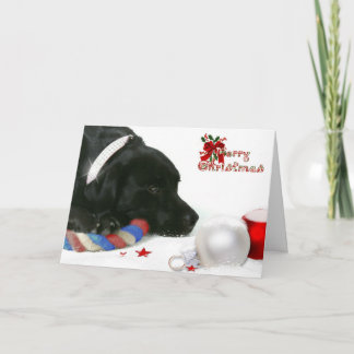 Madison the Black Labrador-julkortet Helgkort