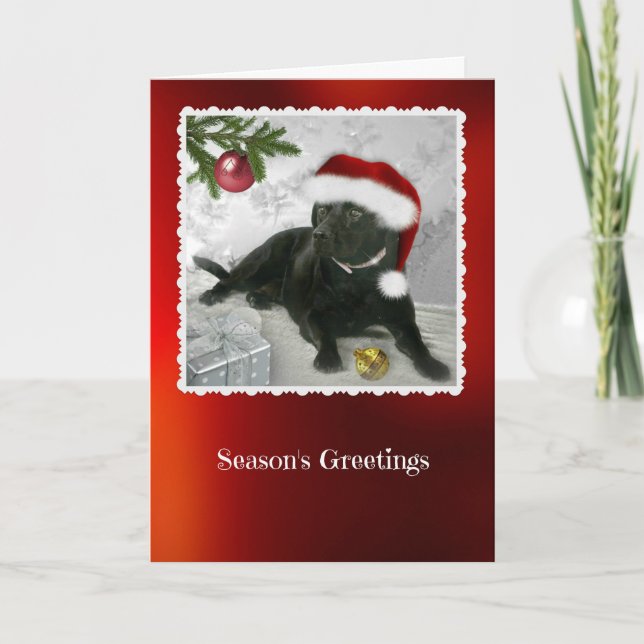Madison the Black Labrador-julkortet Helgkort (Framsida)