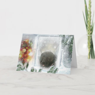 Madison the Black Labrador-julkortet Helgkort