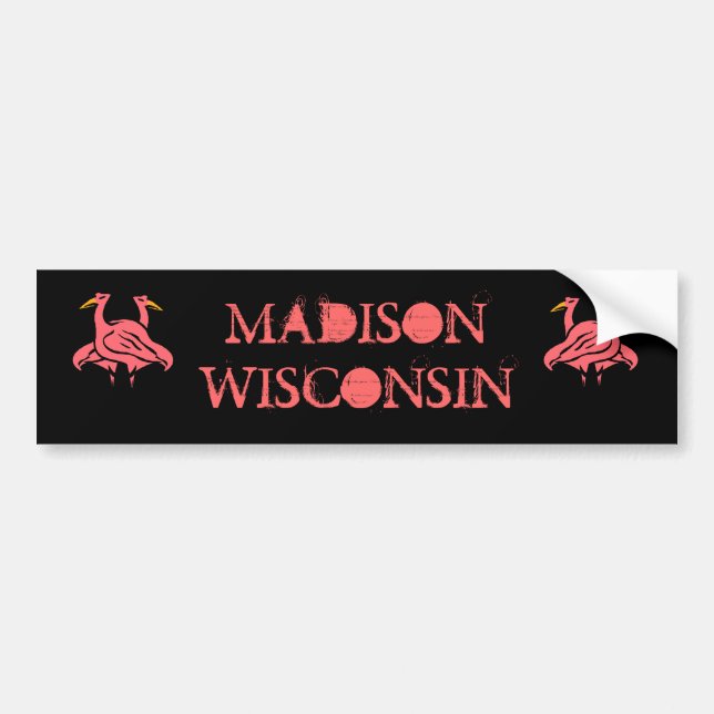 MADISON WISCONSIN & ROSA FLAMINGOSBILDEKAL BILDEKAL (Framsidan)