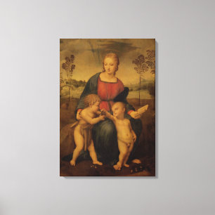 Madonna av steglitsen, c.1506 canvastryck