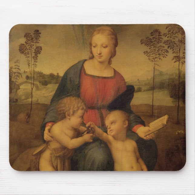 Madonna av steglitsen, c.1506 musmatta (Framsidan)