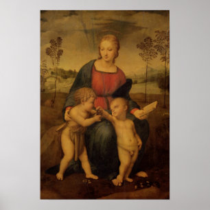 Madonna av steglitsen, c.1506 poster