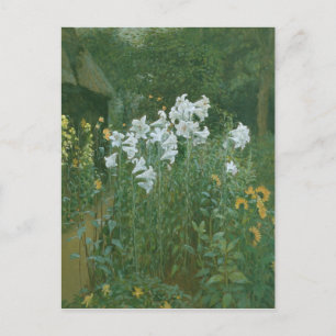 Madonna Lilies i en Garden Vykort