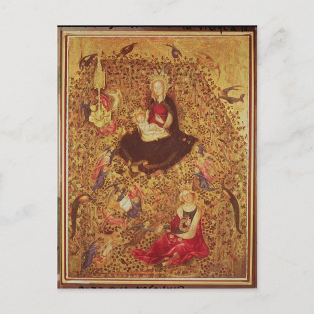 Madonna med Ro Bush Vykort (Framsida)