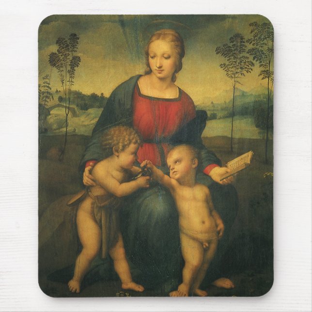 Madonna of the Goldfinch by Raphael Sanzio Musmatta (Framsidan)