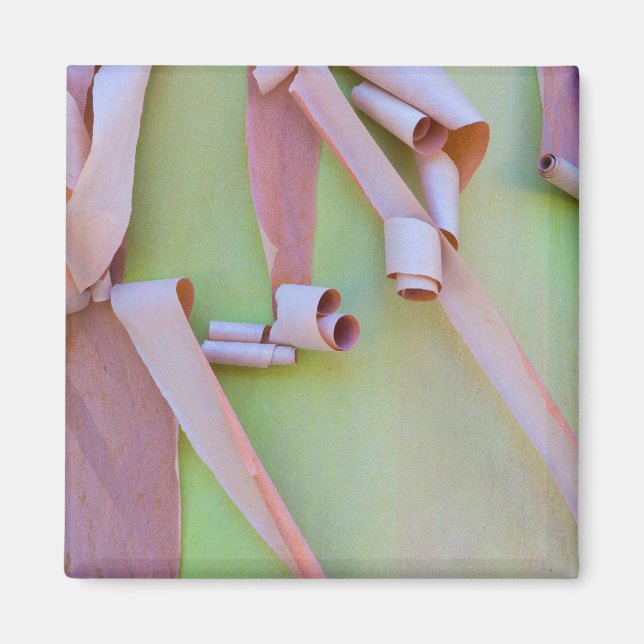 Madrone Träd Bark Abstrakt Magnet (Framsidan)