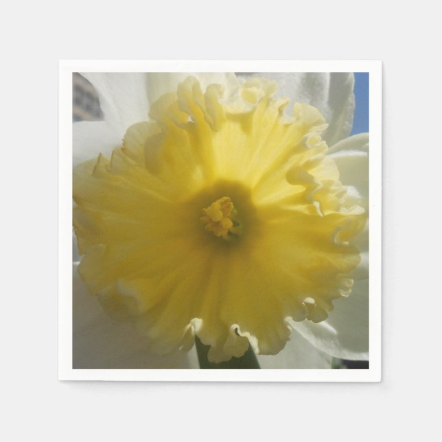 Maenad Pappersservett (Framsidan)