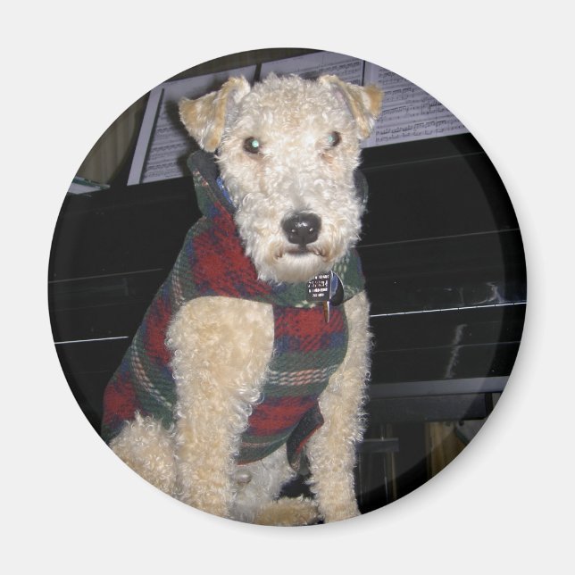 Maestro Groupie Magnet (Framsidan)