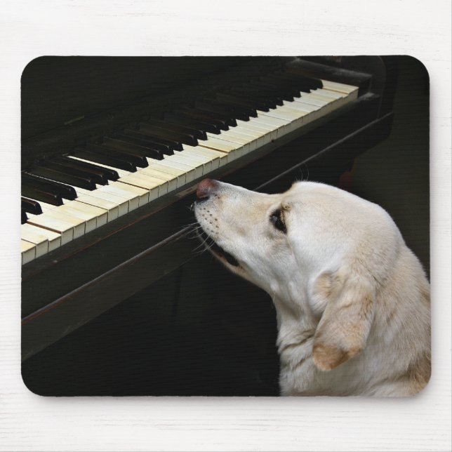 maestro musmatta (Framsidan)