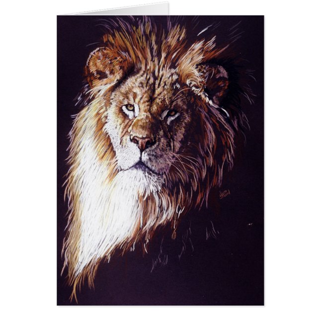 Maestro OBS Kort (Framsidan)