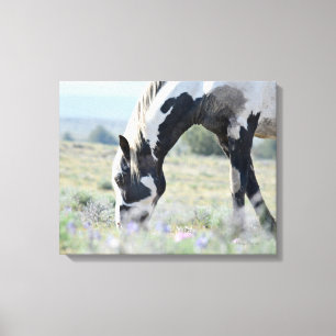 Maestro sträckt kanfas 20 x 16 canvastryck