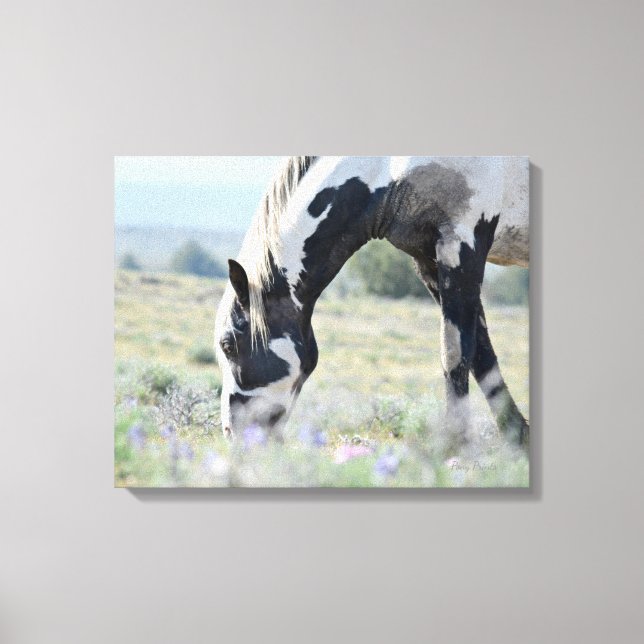 Maestro Stretched Canvas 20 x 16 (Framsida)