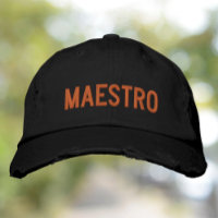 Maestro The Master of Teacher