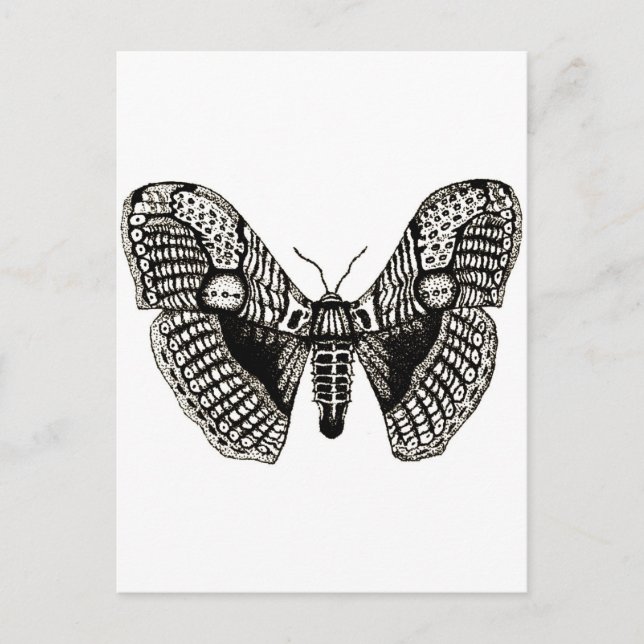 mage vykort (Framsida)