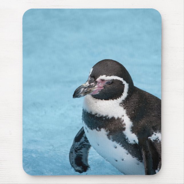 Magellanic Penguin Mousepad Musmatta (Framsidan)