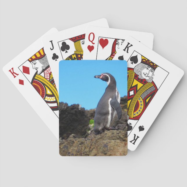 Magellanskt penguin casinokort (Baksidan)