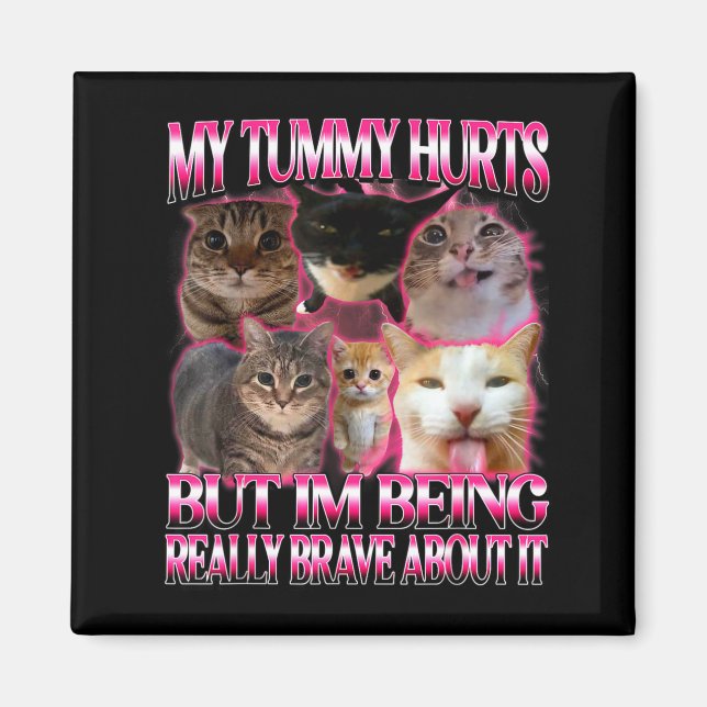 Magen gör ont rolig hjärnröta dumma dank katt meme magnet (Framsidan)