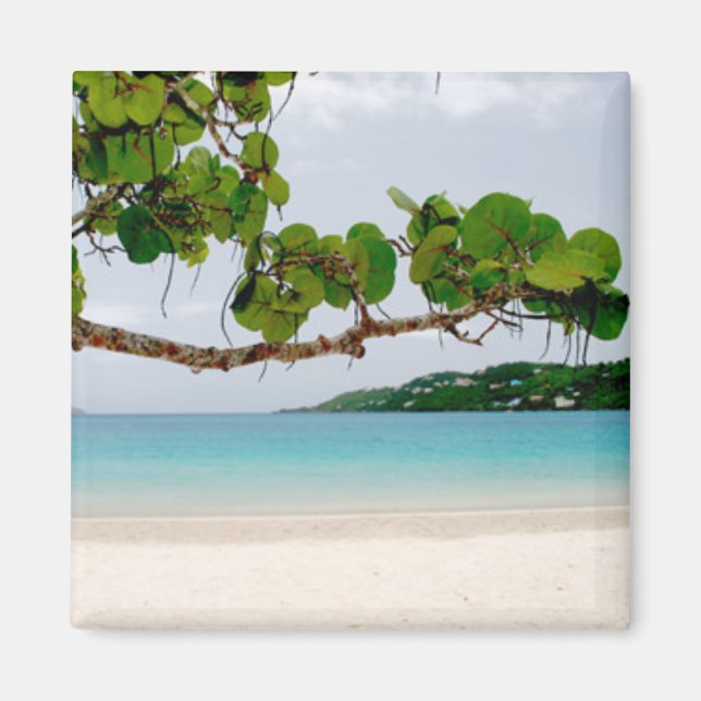 Magens Bay, St Thomas 2 Inch Square Magnet (Framsidan)